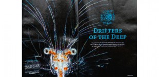 GEO-deep-sea-drifters
